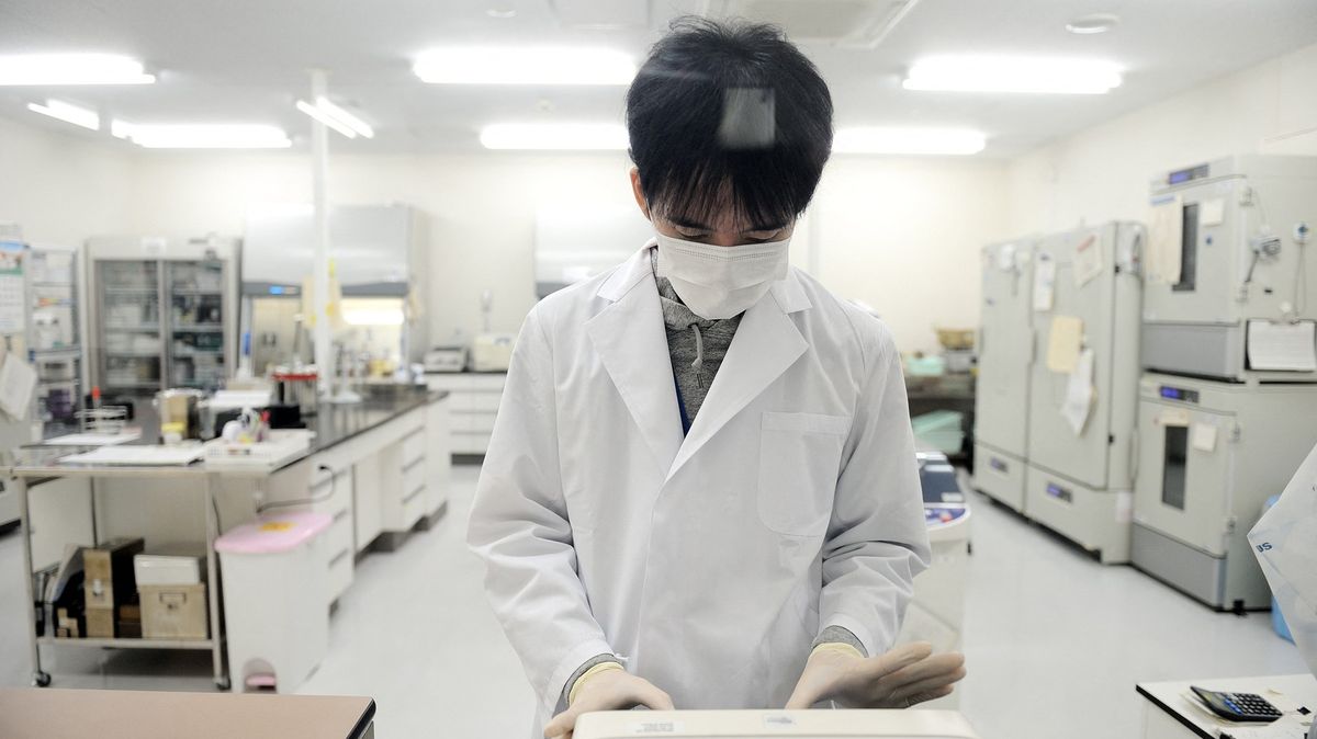 Vakcína mládí? Japonci se učí odstraňovat „zombie“ buňky